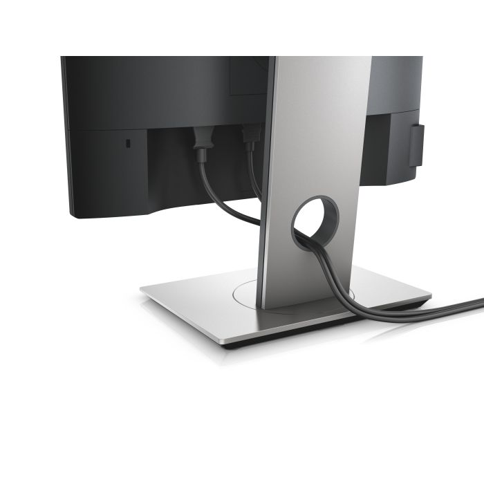 Dell 19 Monitor - P1917S - 48cm(19) Black EURC