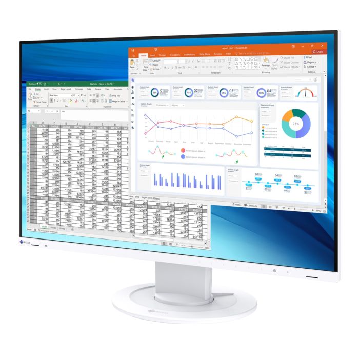 EIZO FlexScan EV2410R-WT