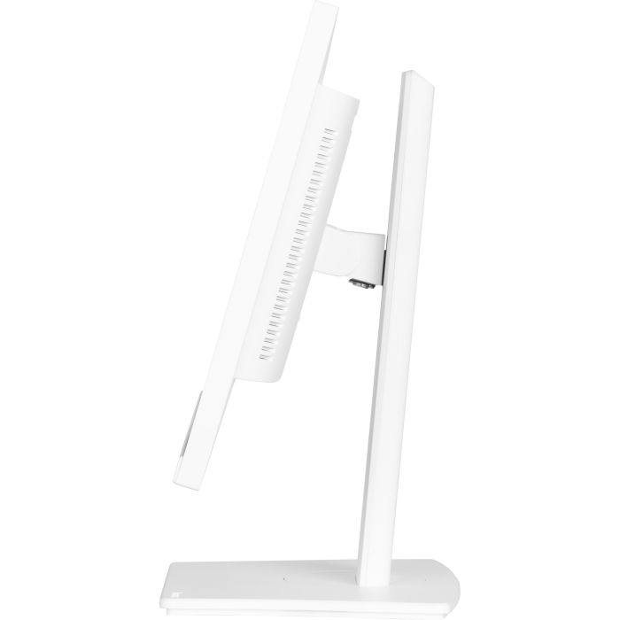 iiyama Monitor ProLite XUB2497HSN-W2 24" WH IPS-panel, 1920x1080 100Hz1ms, 300cd/m², USB-C Dock, HDMI, DP