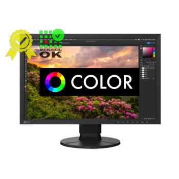 Monitor EIZO ColorEdge CS2400S COLOR