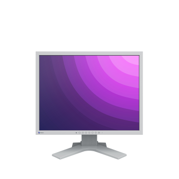 Monitor EIZO FlexScan S2133
