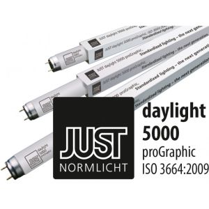 JUST Color Control daylight 5000 13W