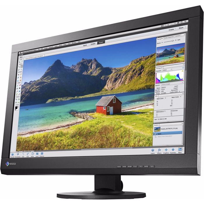 Monitor EIZO ColorEdge CS2420 COLOR
