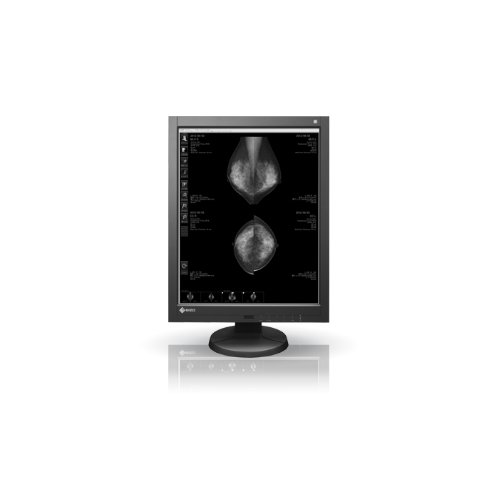 EIZO RadiForce GX540