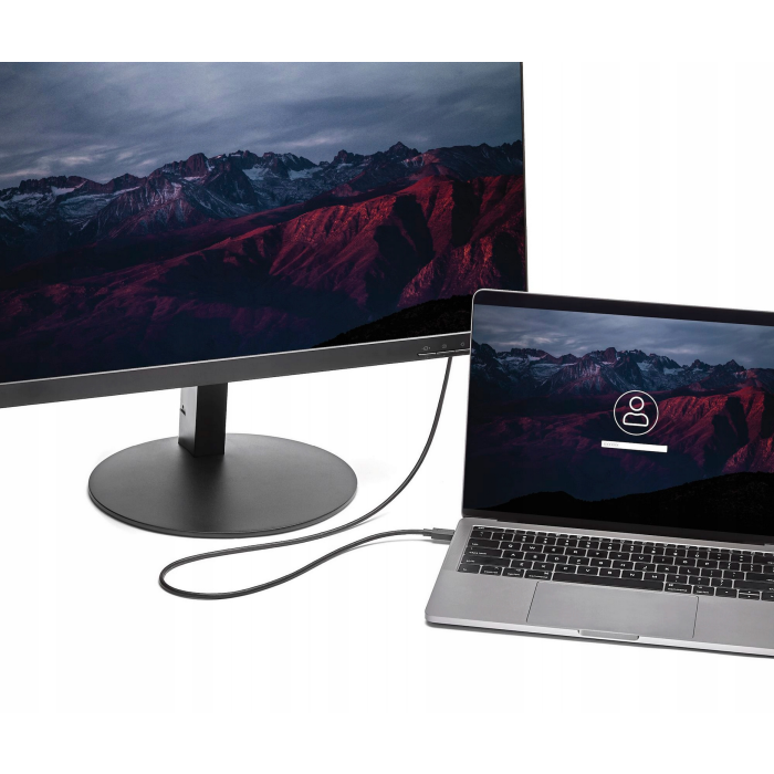 EIZO Thunderbolt 3 USB-C / DisplayPort 