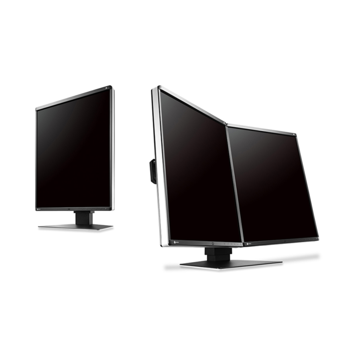 EIZO RadiForce GX560