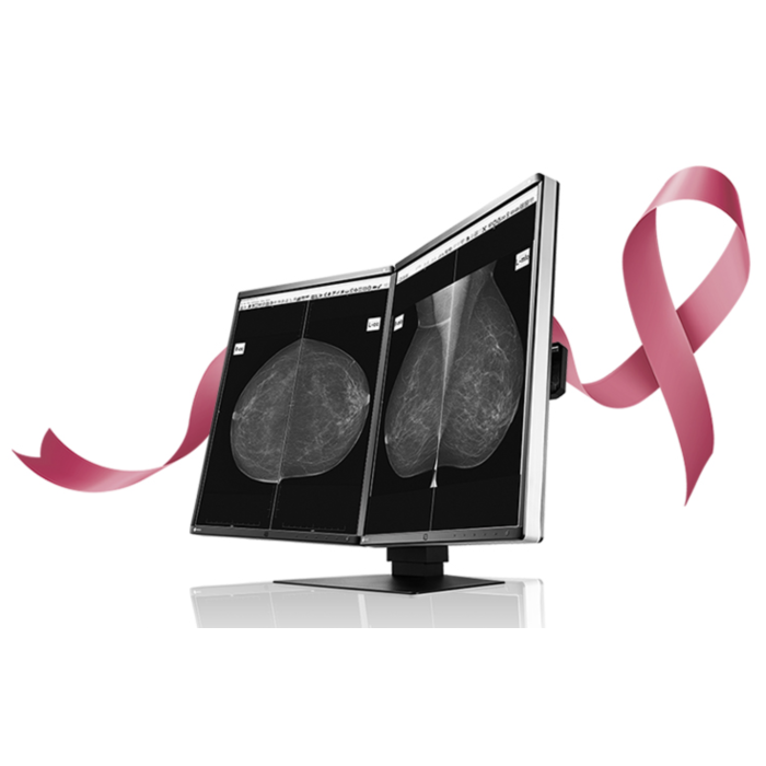 EIZO RadiForce GX560