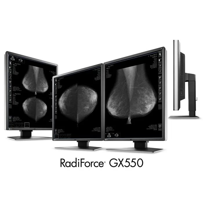 EIZO RadiForce GX550