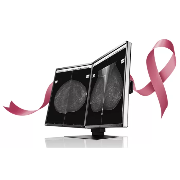 EIZO RadiForce GX560