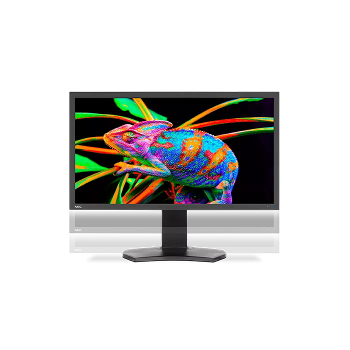 Monitor NEC Multisync PA311D