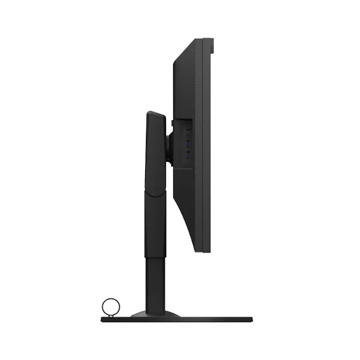 Monitor EIZO ColorEdge CG319X