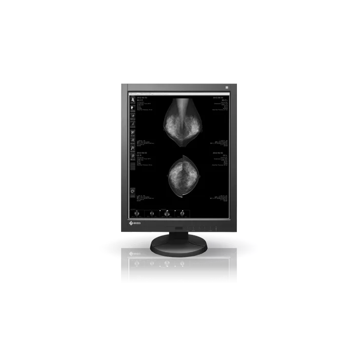 EIZO RadiForce GX540