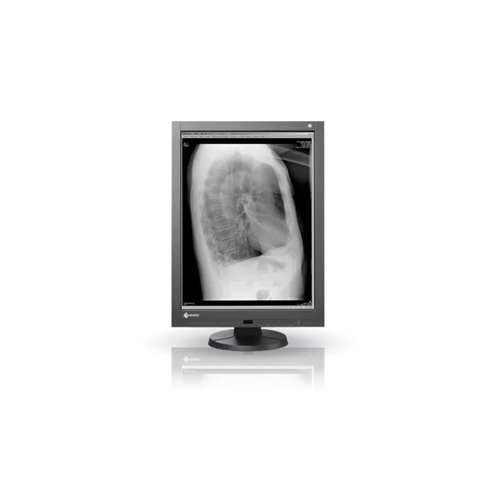 EIZO RadiForce GX240