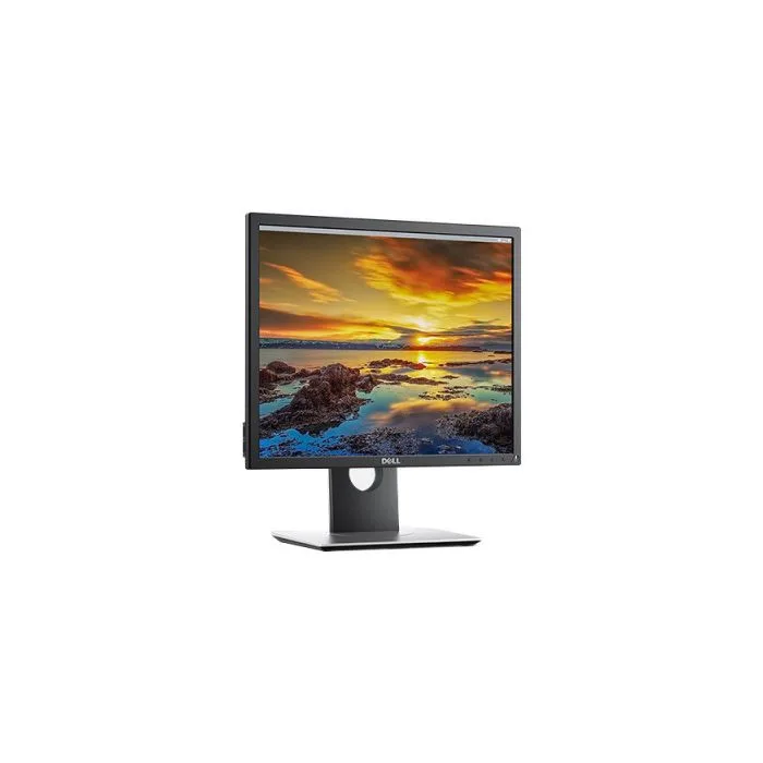 Dell 19 Monitor - P1917S - 48cm(19) Black EURC