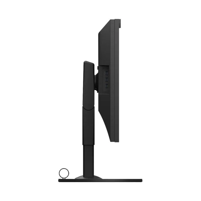 Monitor EIZO ColorEdge CG319X