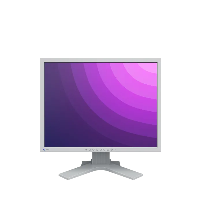 Monitor EIZO FlexScan S2133