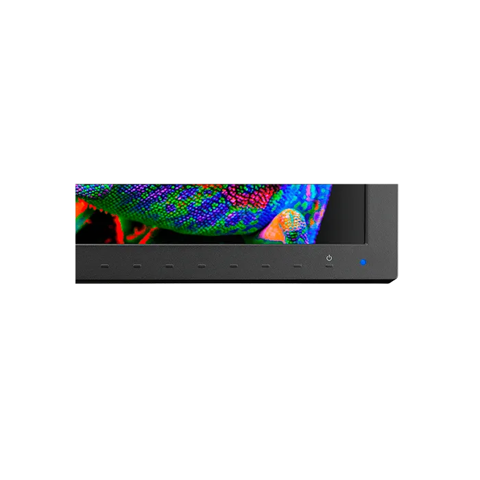 Monitor NEC Multisync PA311D