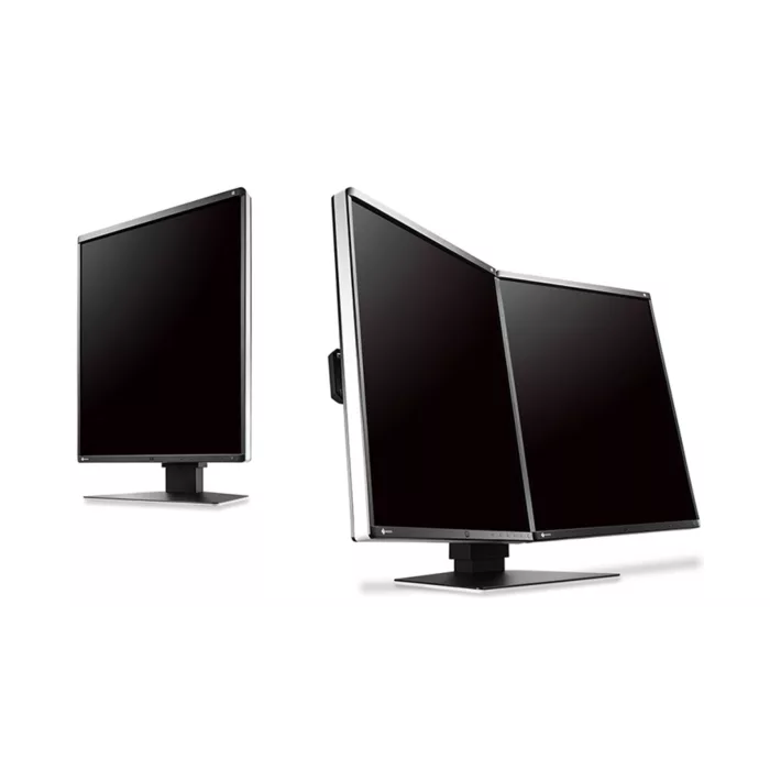 EIZO RadiForce GX560