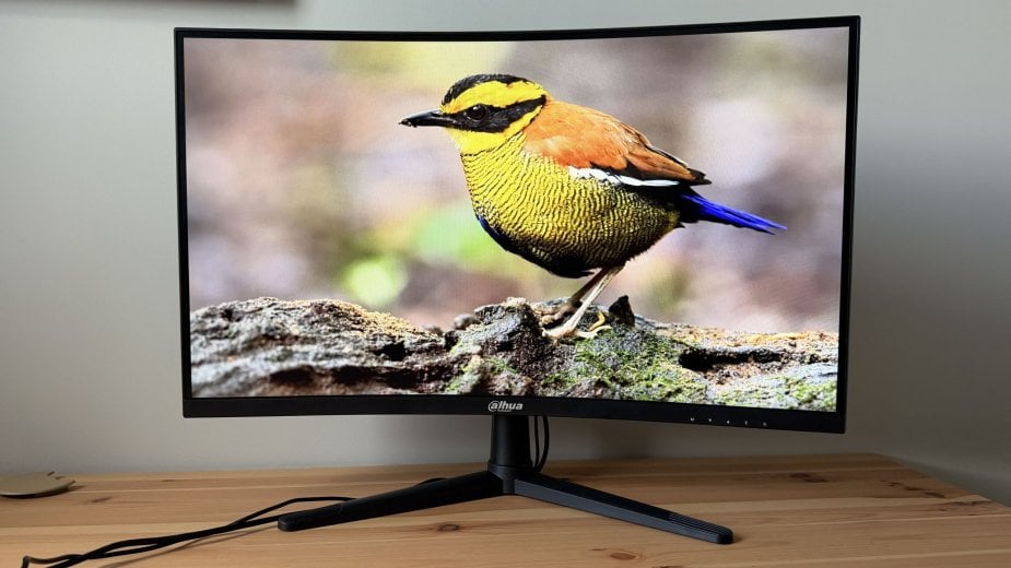 Dahua LM27-E240C na biurku, z kolorowym ptakiem wyświetlonym na ekranie