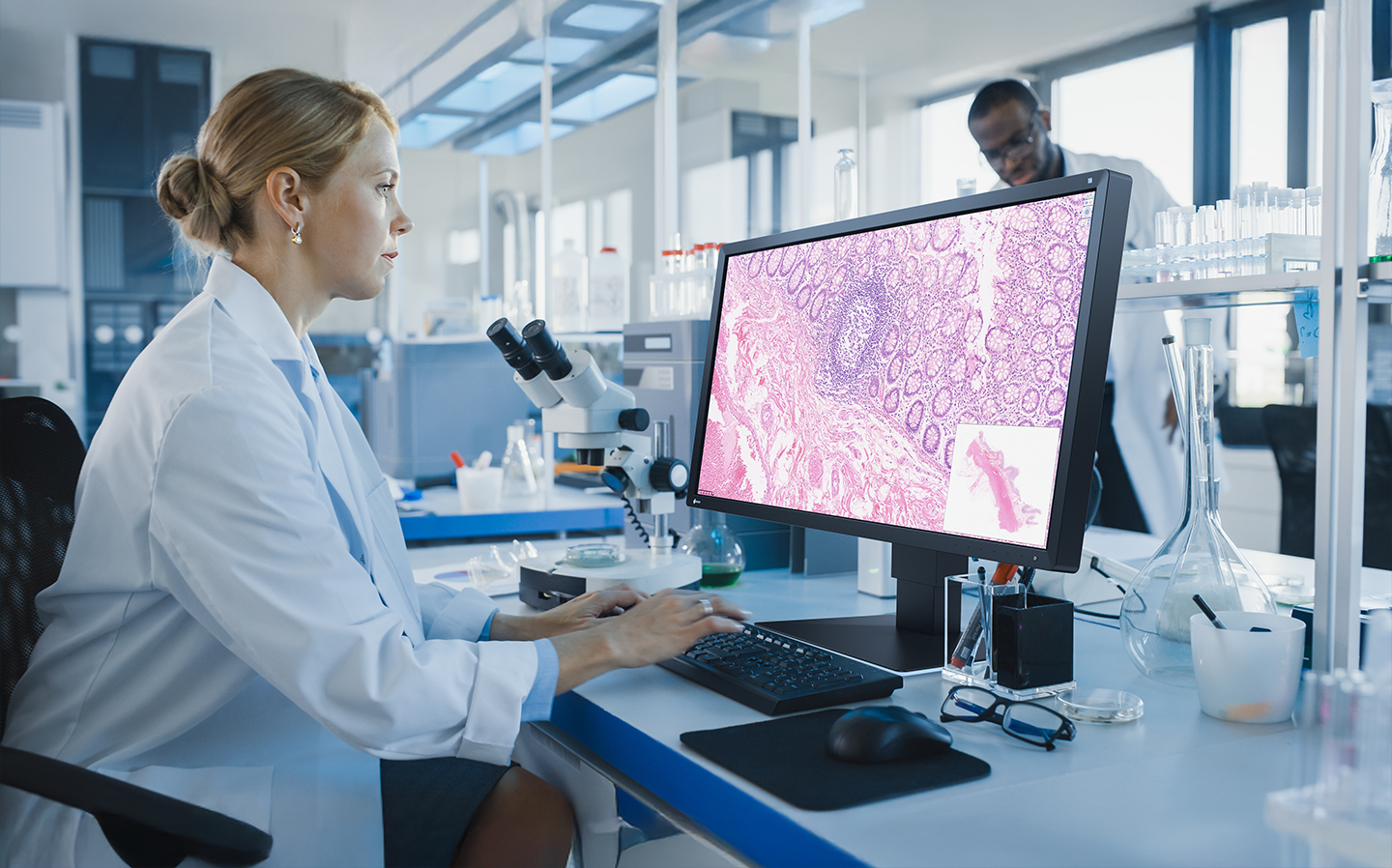 EIZO PX3150 przy stanowisku cyfrowej patomorfologii